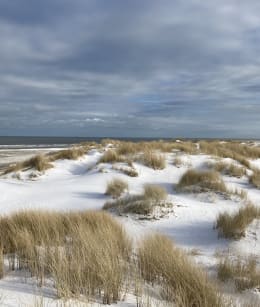 het stranden in de winter