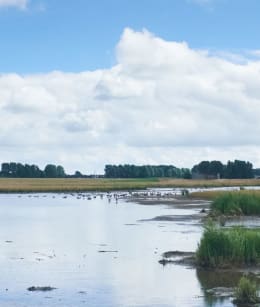 Wolvenpolder vergezicht