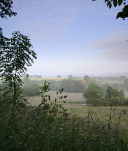 Limburg