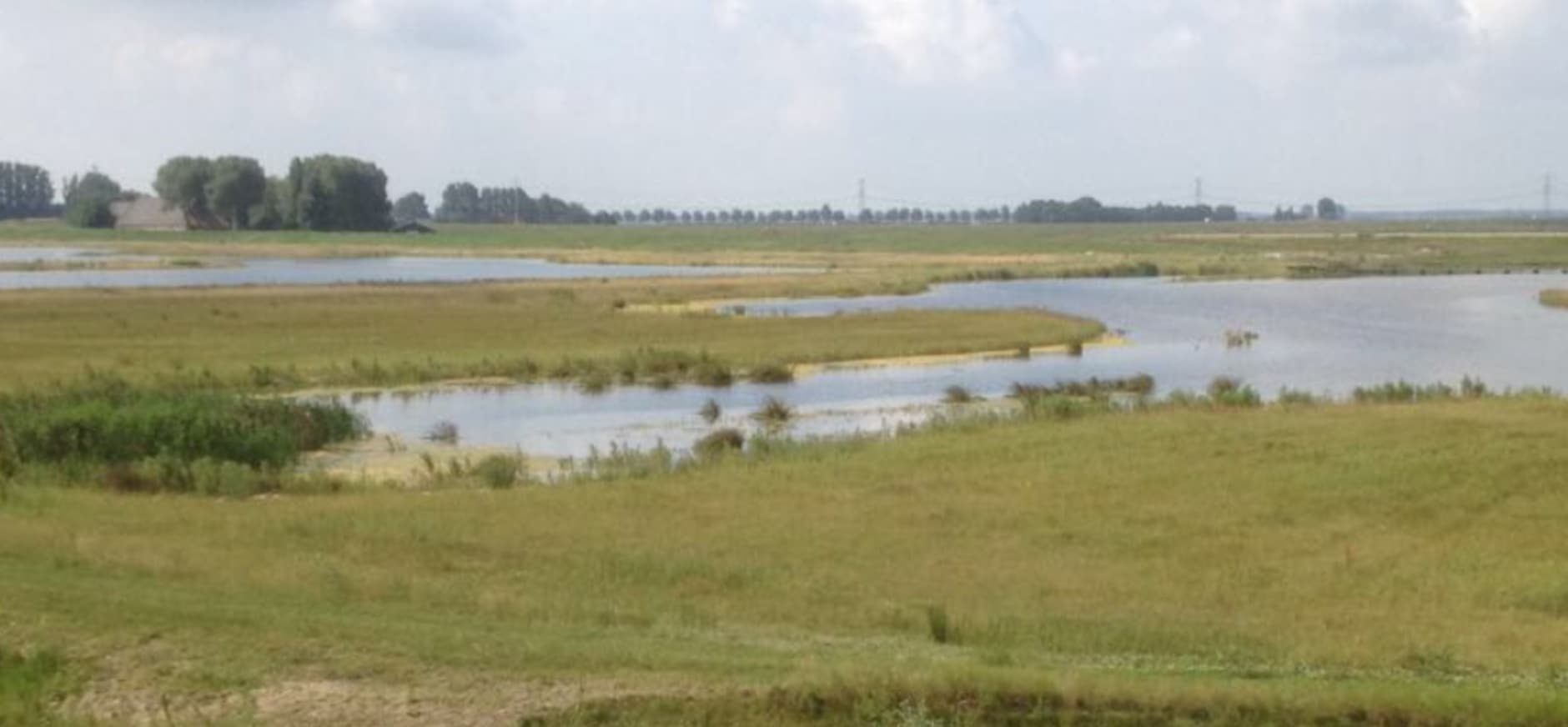 Nieuw natuurgebied aangekocht bij Spijkenisse