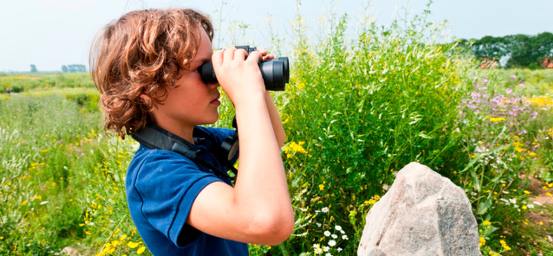 Speurtocht: Kip Tika op natuur-avontuur