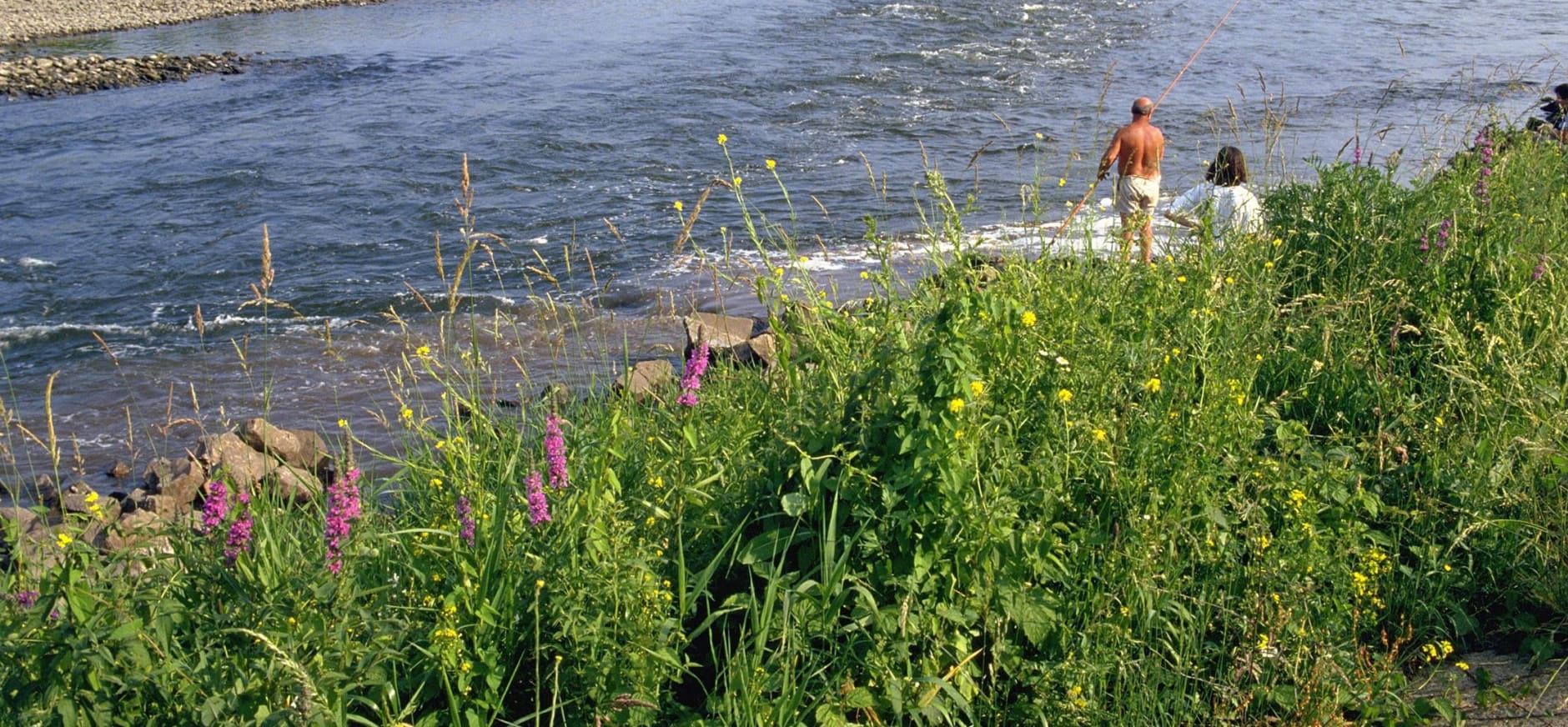 De Maas profiteert van hoge waterstanden