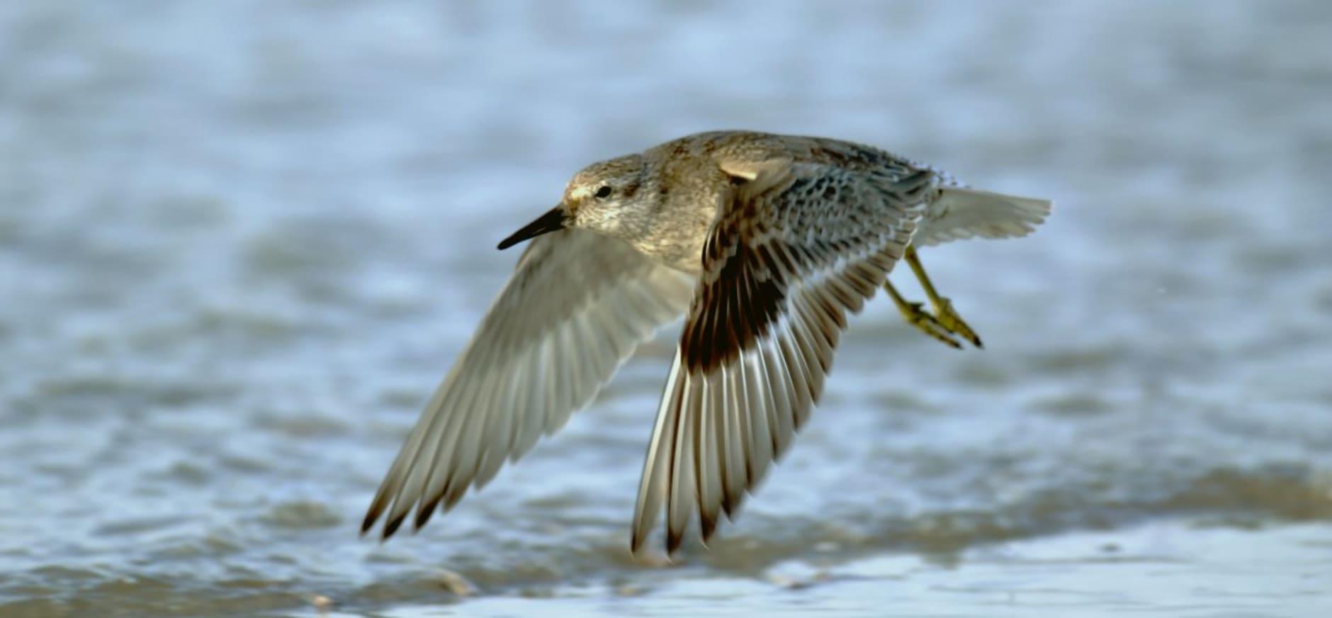 Natuurorganisaties willen openheid rond zoutwinning