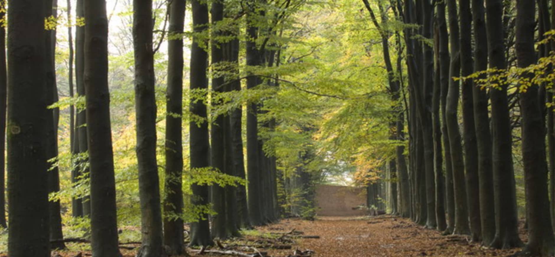 Plantloon krijgt nog meer karakter