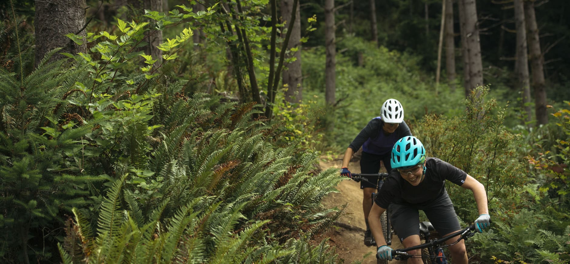 Actief ginder Whirlpool Veelgestelde vragen over MTB-vignetten en ruiterlabels | Natuurmonumenten