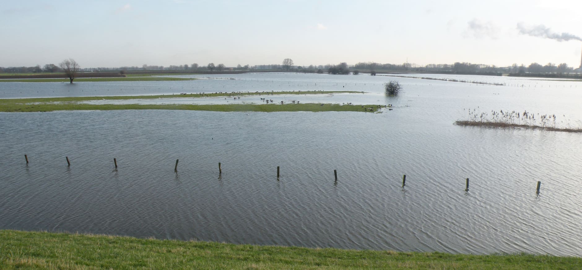 Rivierklimaatpark IJsselpoort