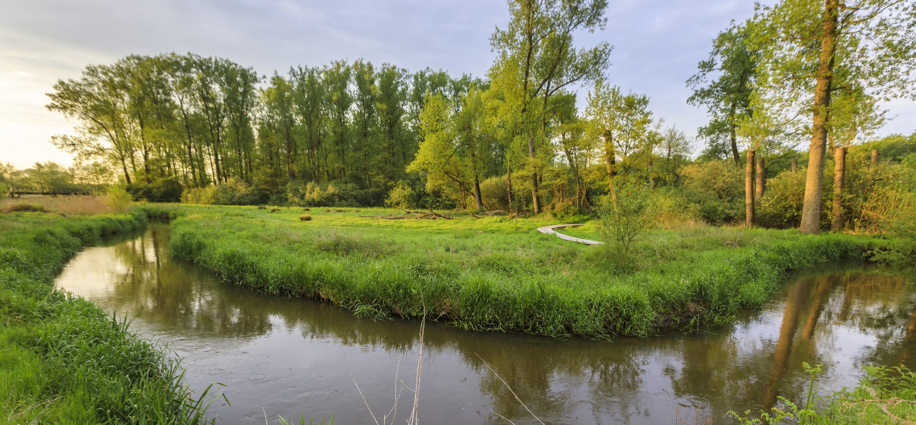 Waterpartij in het Dommeldal