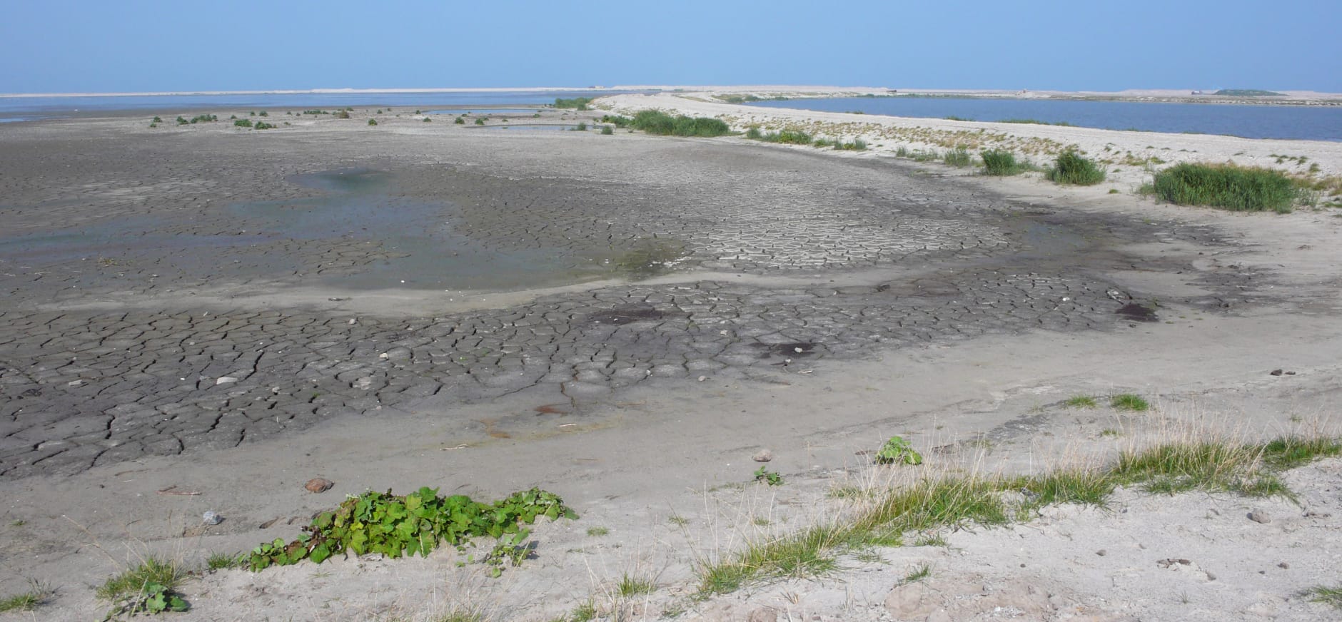 Marker Wadden in 2017