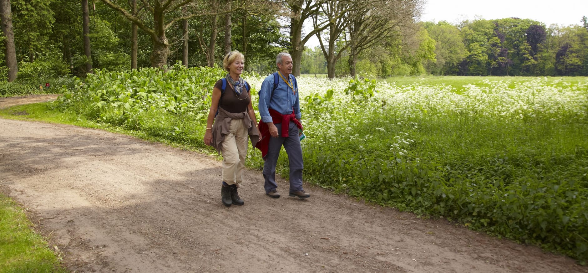 Wandelen in Twente