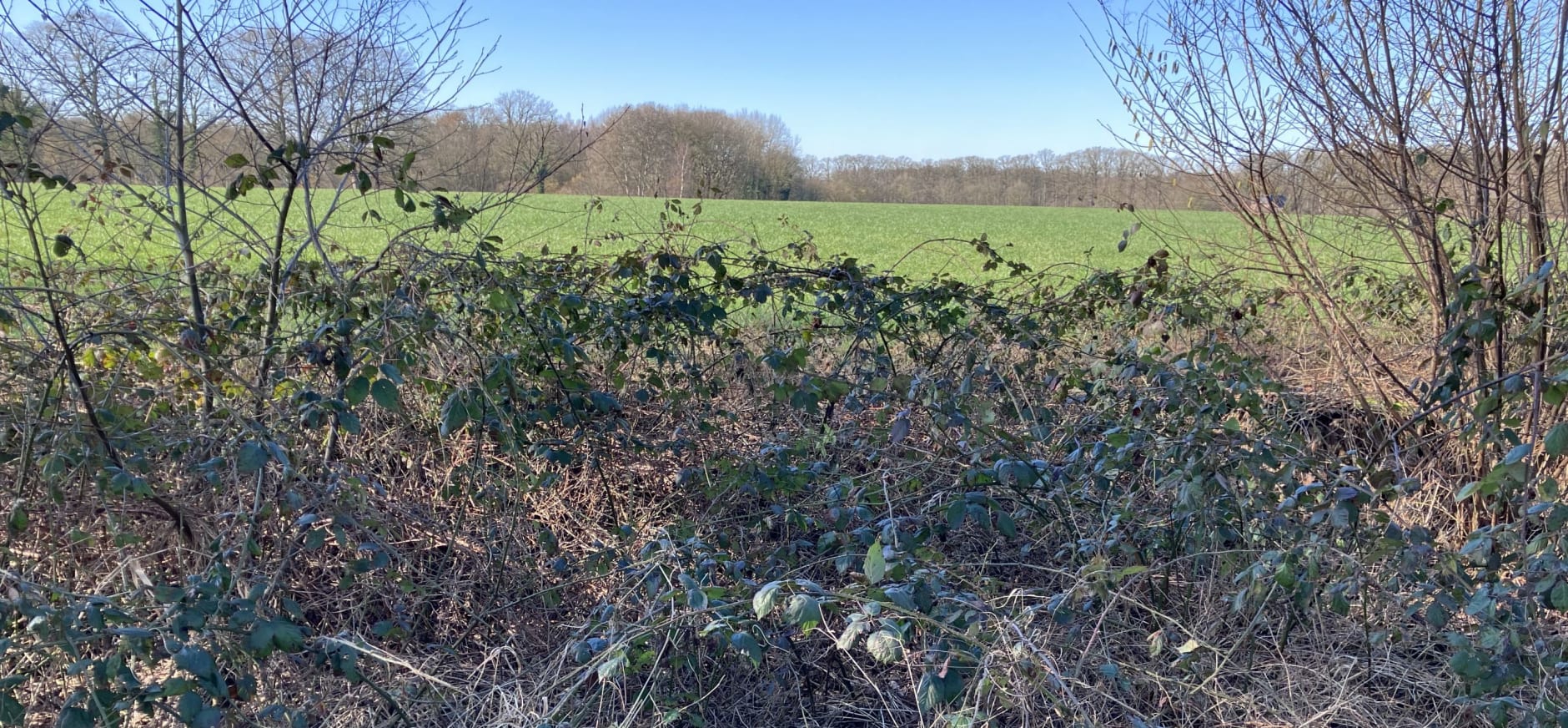 droogte landgoed hackfort