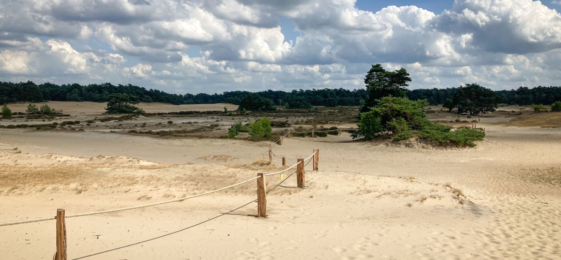 Hulshorsterzand afgesloten in het broedseizoen