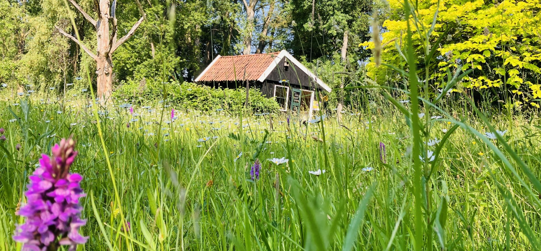 Arboretum Poort Bulten