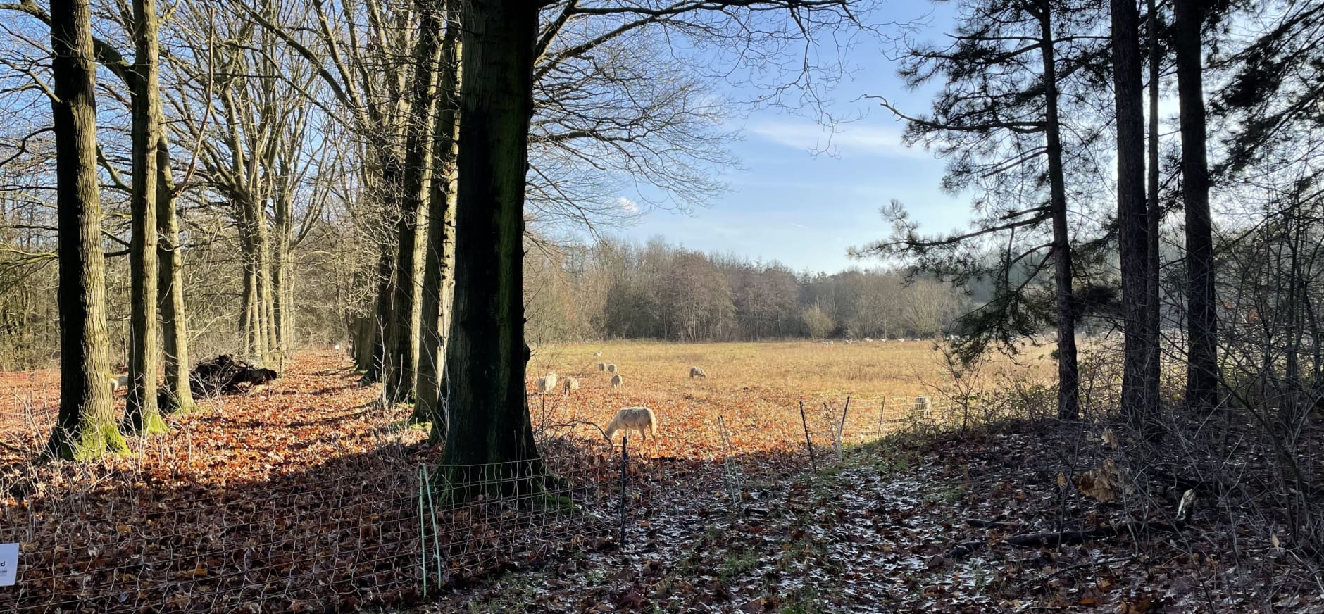 natuur onder druk