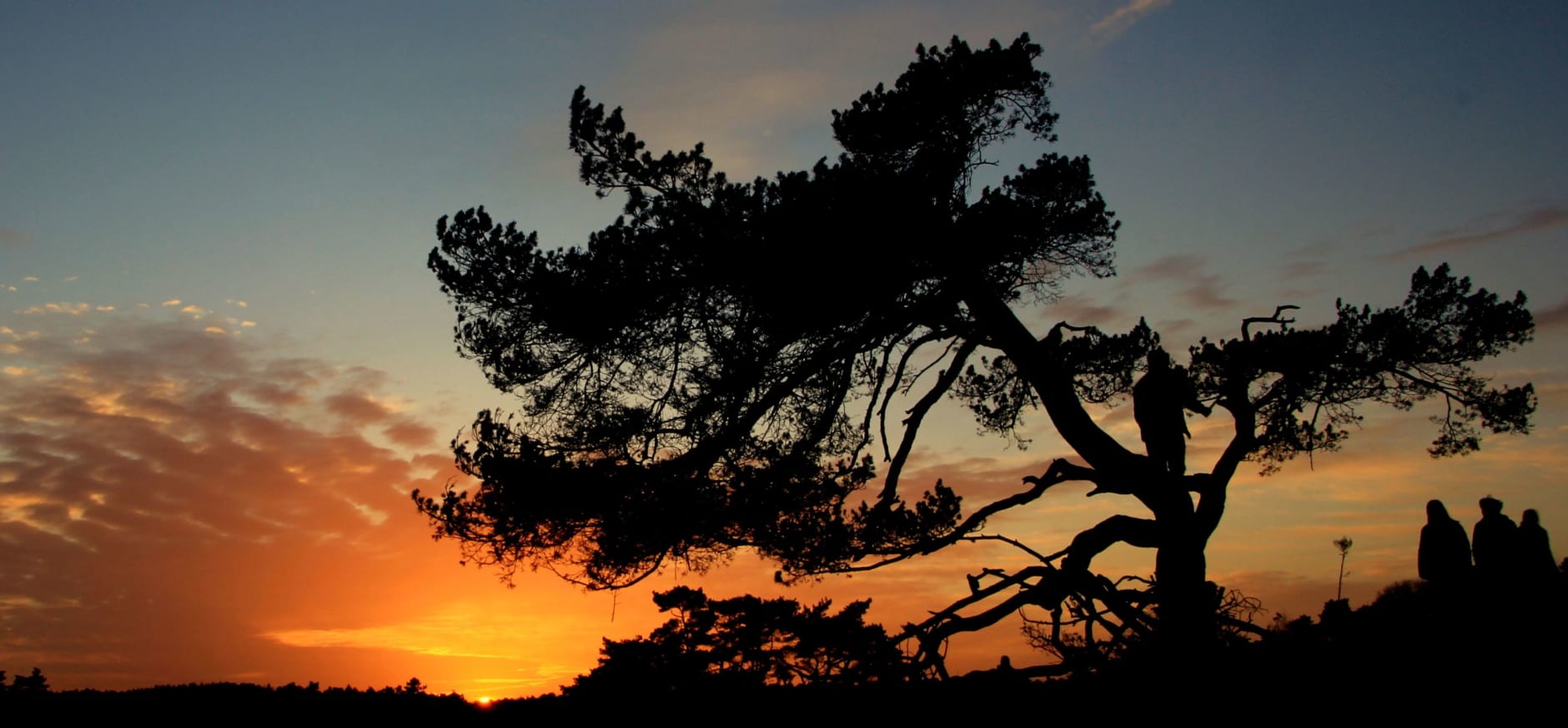 midzomernacht loonse en drunense duinen