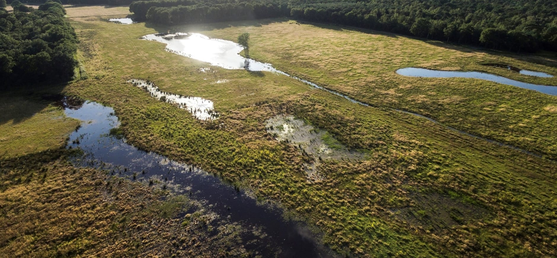 Natuur als oplossing tegen overstromingen Limburg