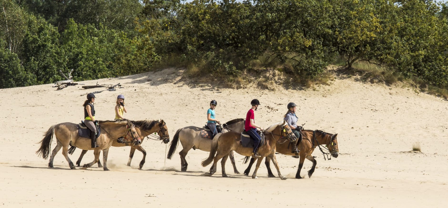 Rijden in het stuifzand