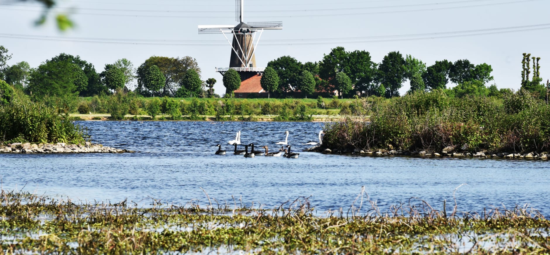 Hompesche Molen in landschap