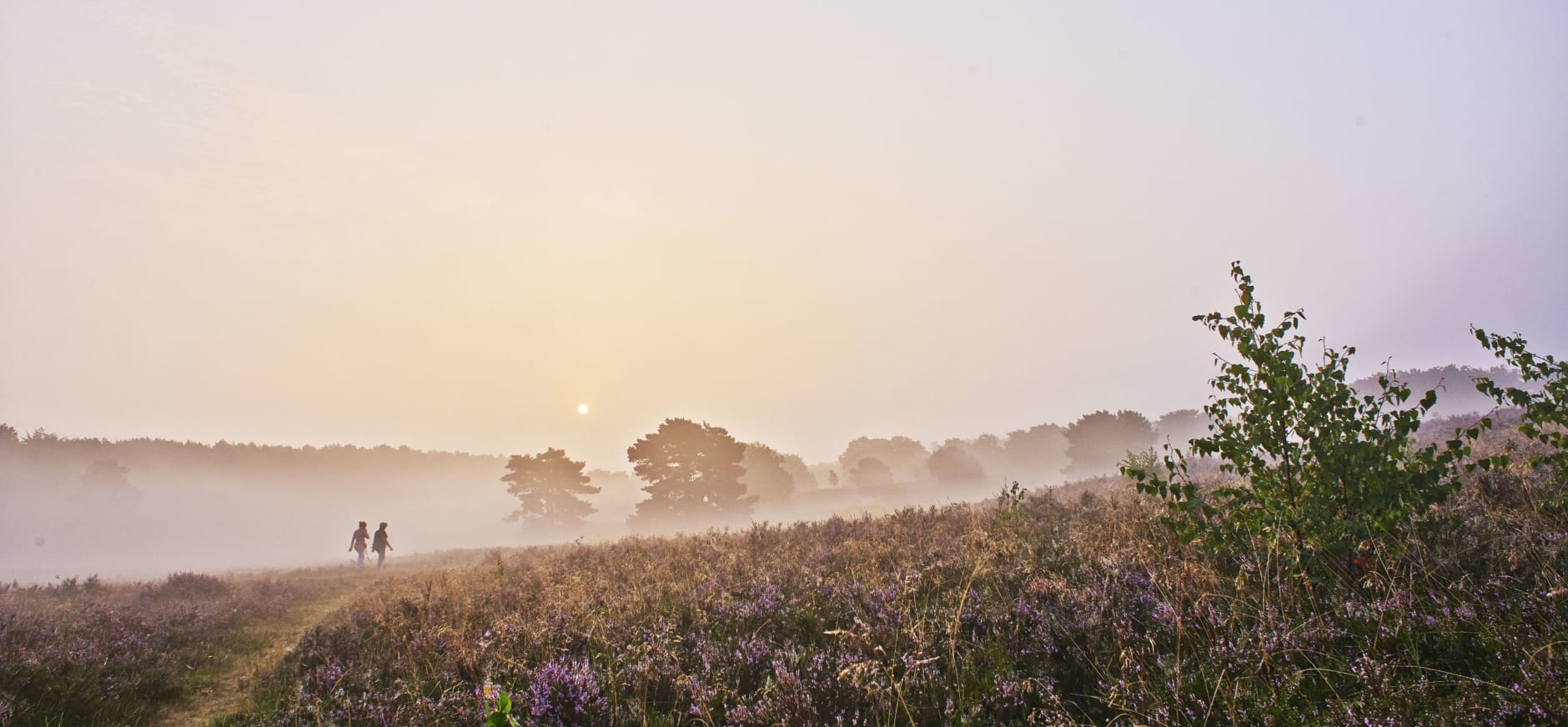 Limburg