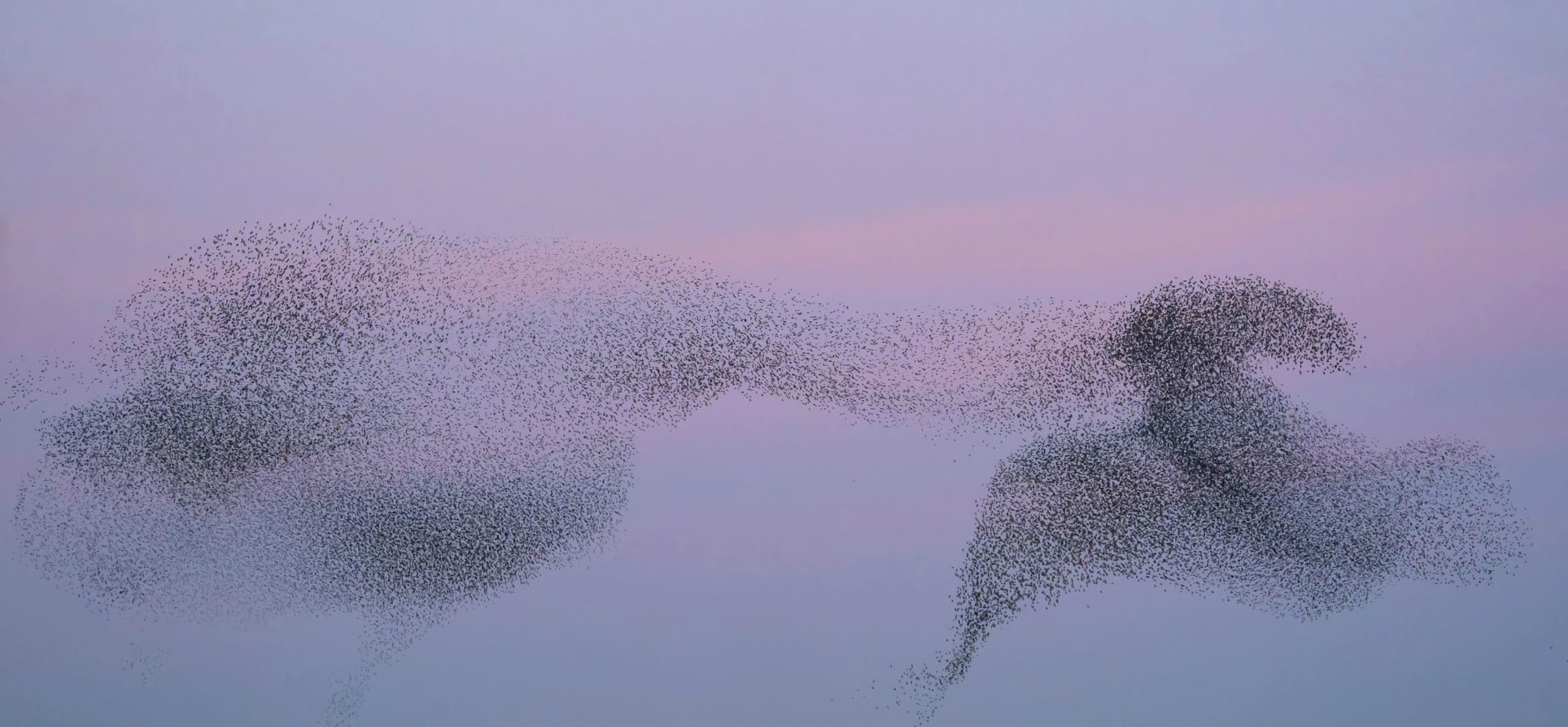  Natuurmonumenten - Annemiek Faber