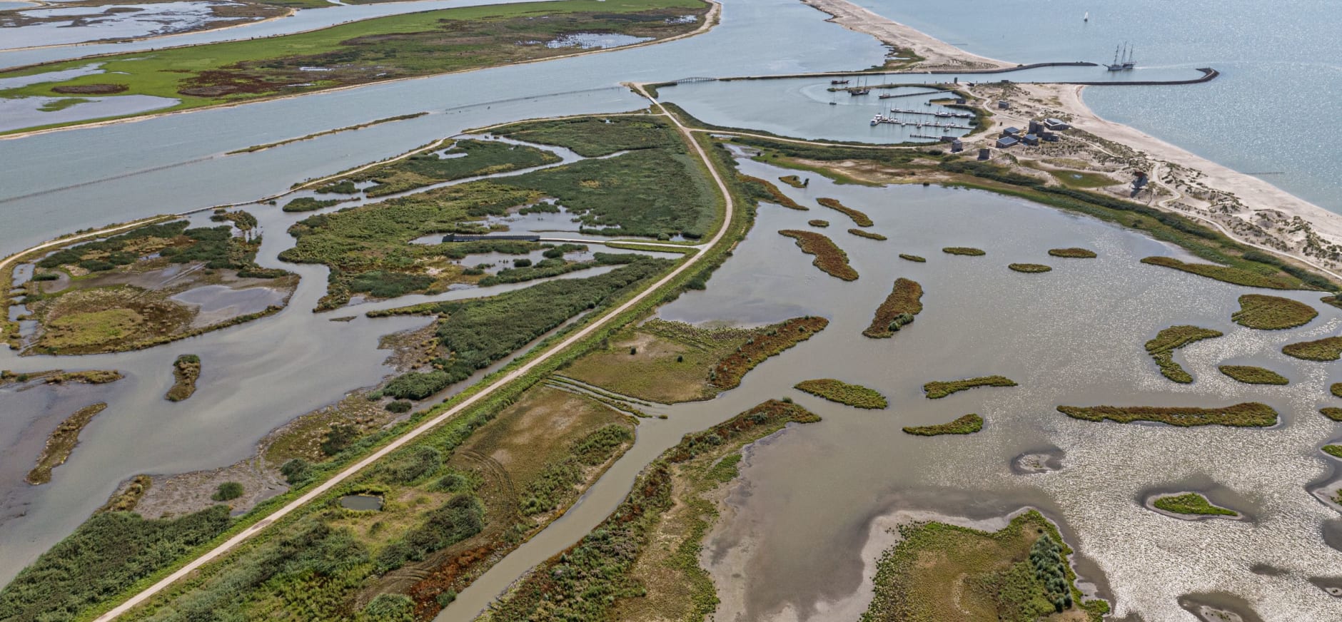 Herfst op Marker Wadden 