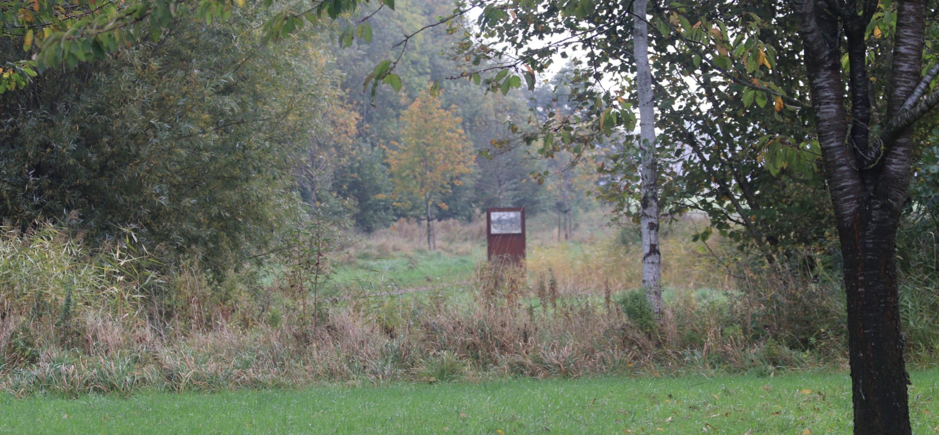 Biessumerbos - Geert Teerling - Natuurmonumenten