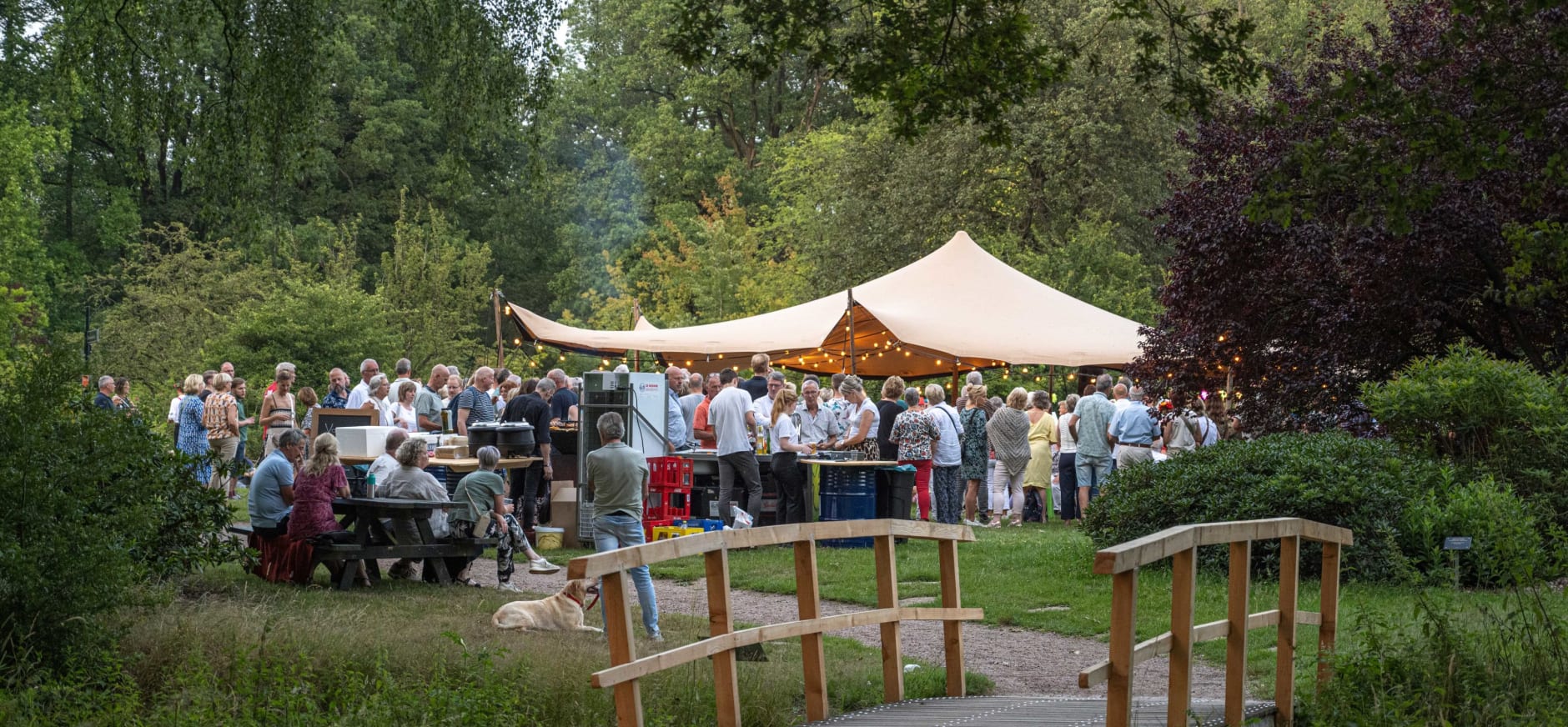 Zwoele Zomeravond in arboretum Poort Bulten