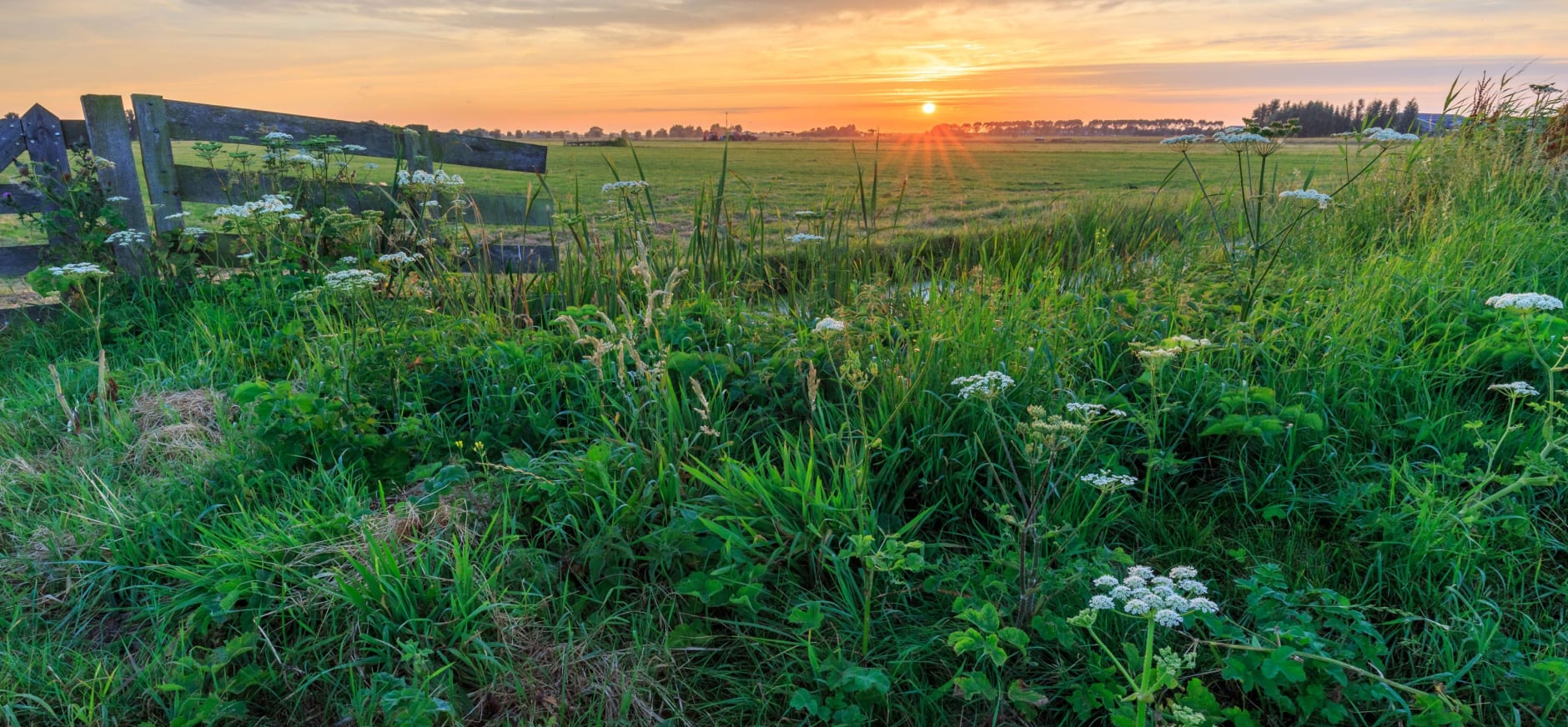 Polder Noord-Kethel