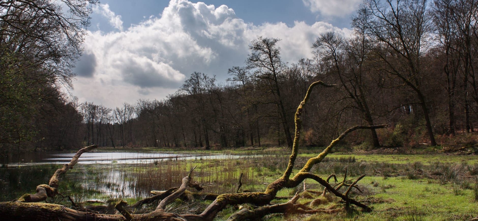 Noordwest-Veluwe