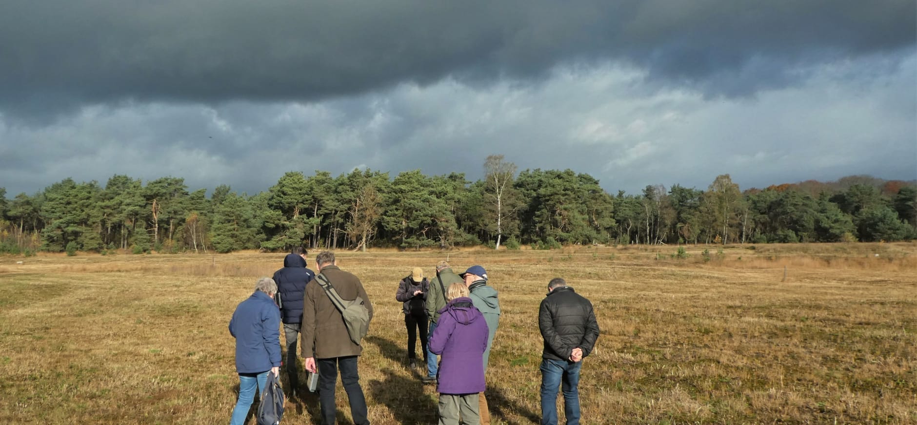 mycologen boswachter tocht De Sprengenberg