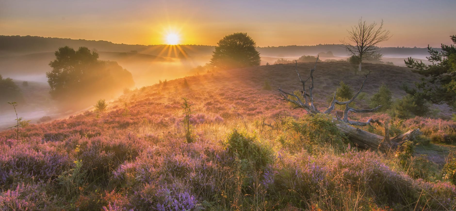 Gelderland