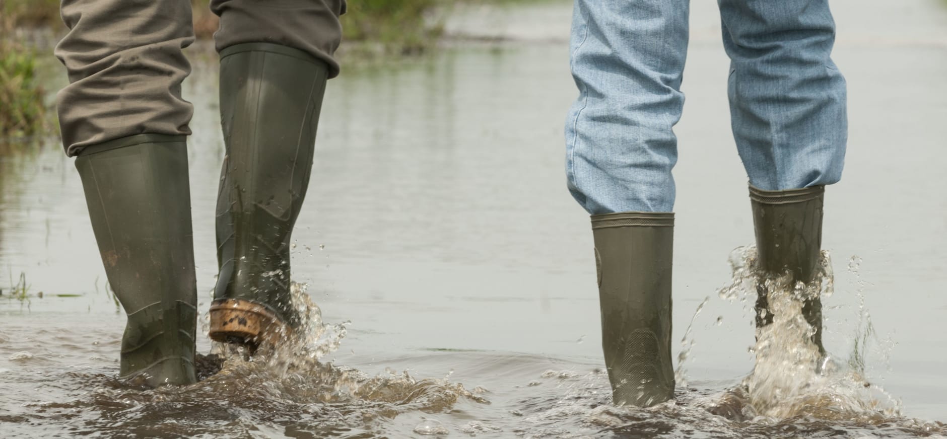 paden onder water in het Zwanenwater