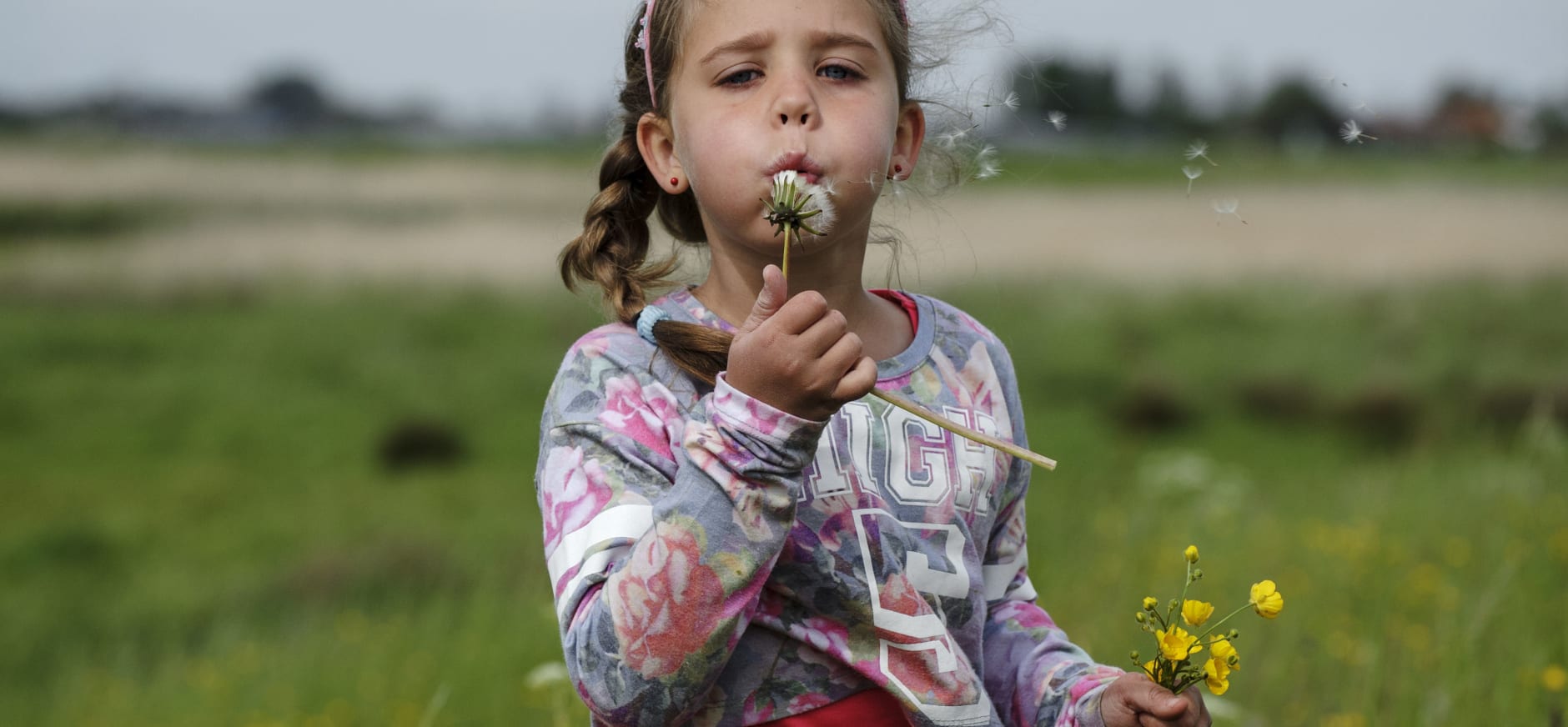 Paardenbloem blazen