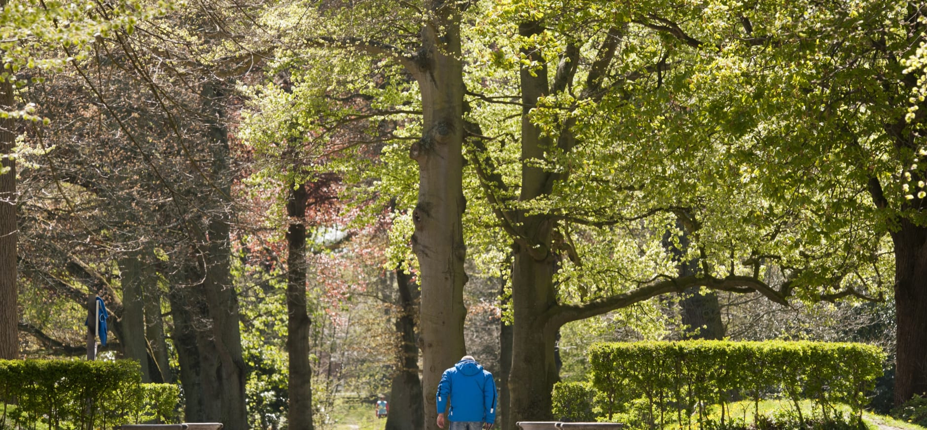 Beeckestijn lanen