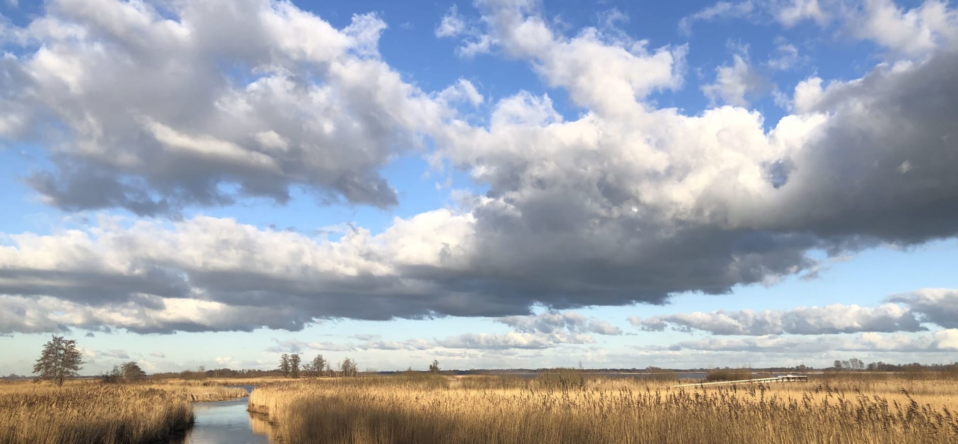 wieden winterlandschap