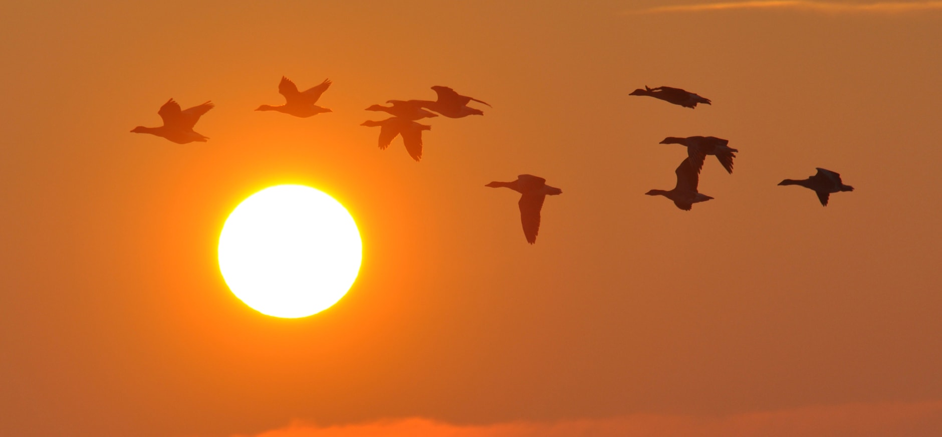 Zonsondergang Brabant