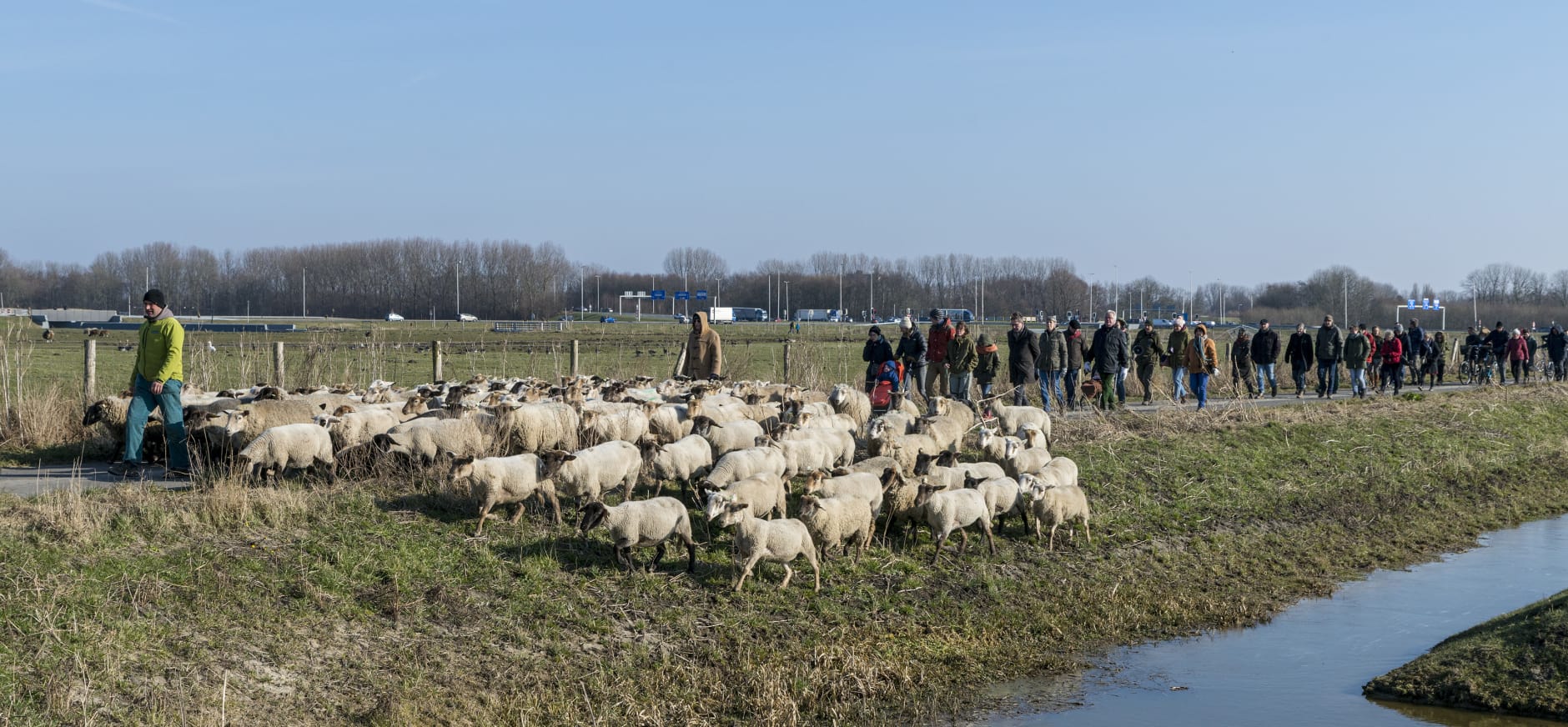 Wandeling met schaapskudde Martin Oosthoek