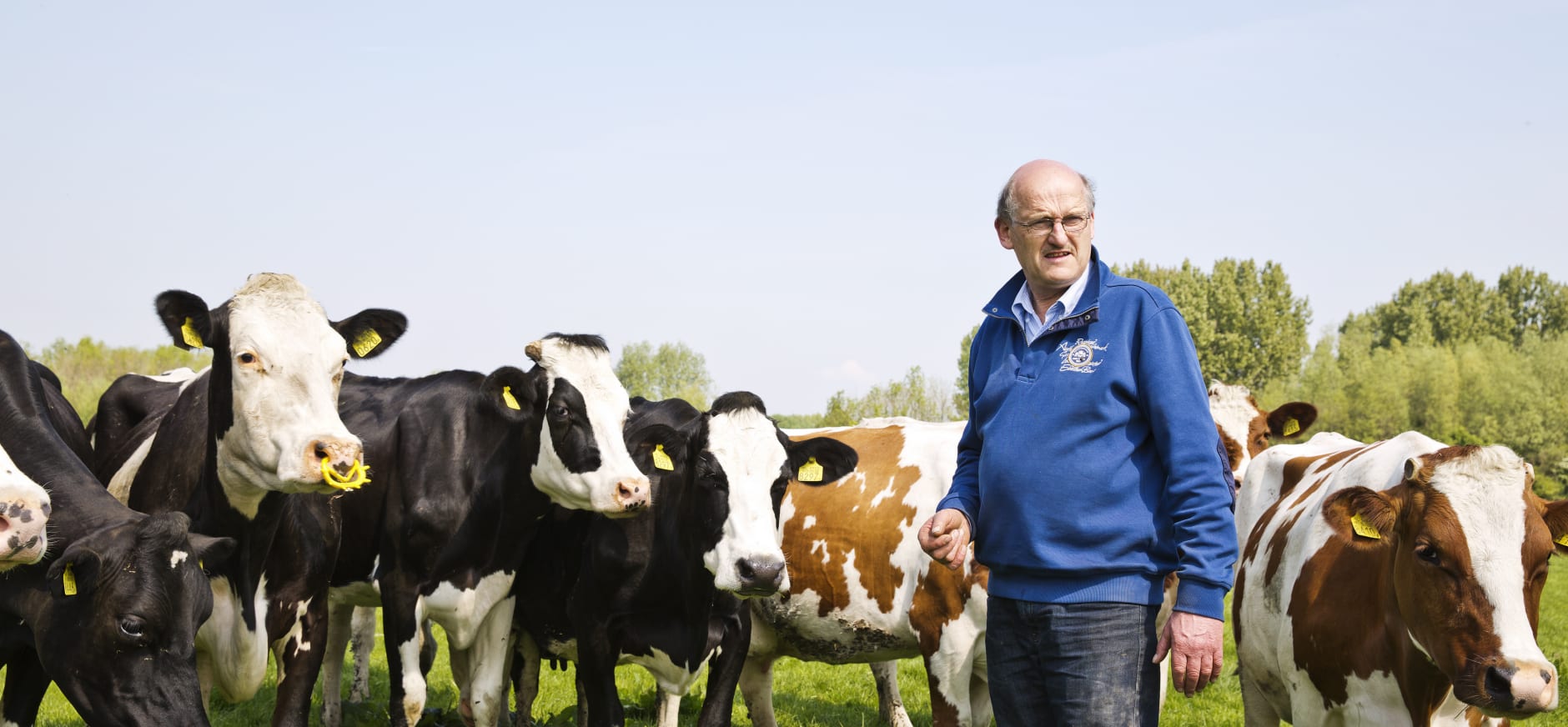 Boer Arie van den Berg