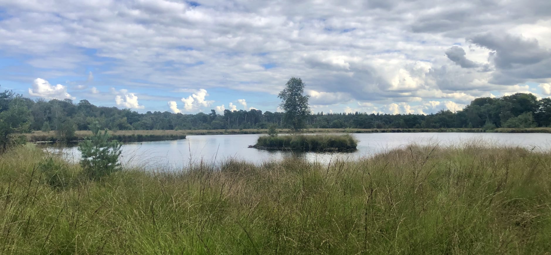 meeuwenven Huisvennen Kampina