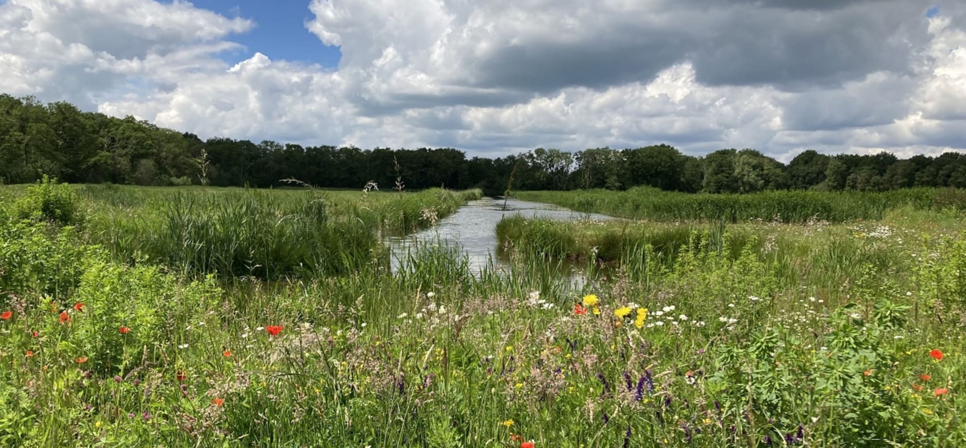 Bloemrijk erf Stadzigt Naardermeer