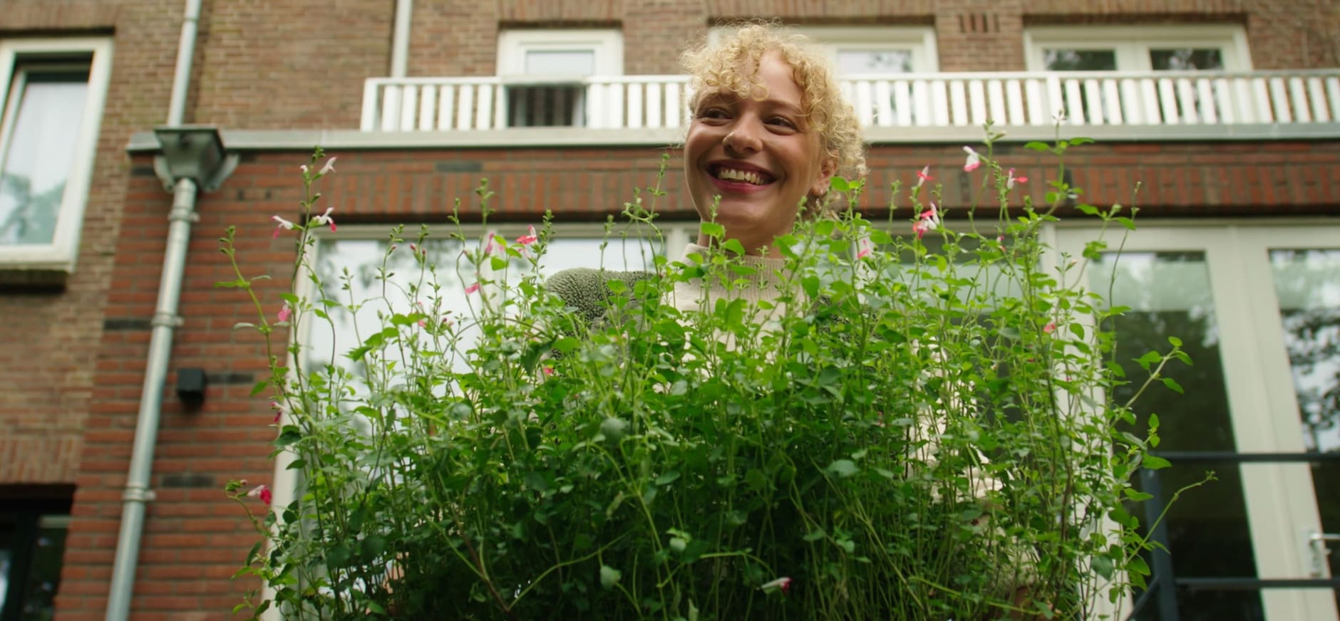 Zet je tuin in bloei in het najaar