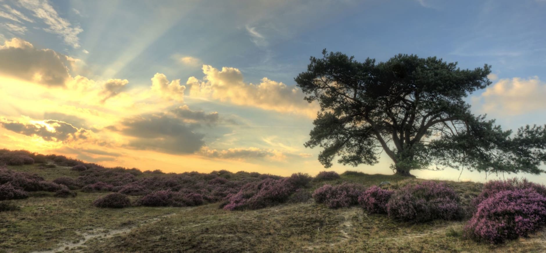 Recreatiezonering op de Veluwe