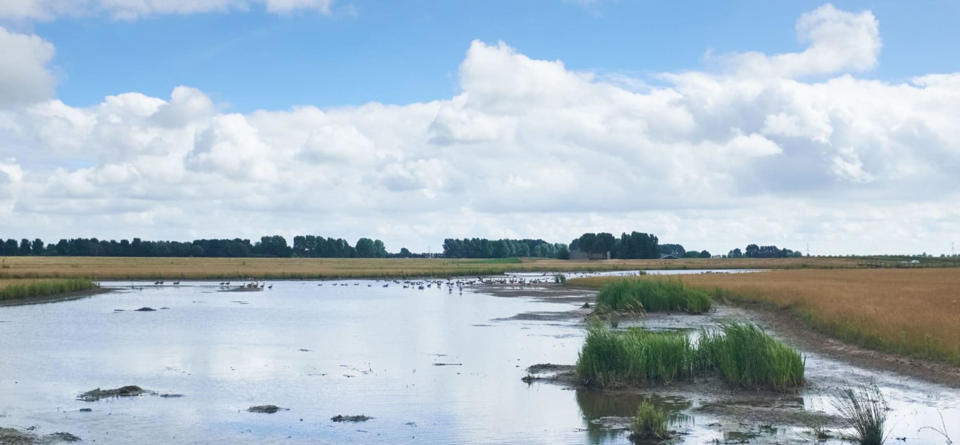 Wolvenpolder vergezicht