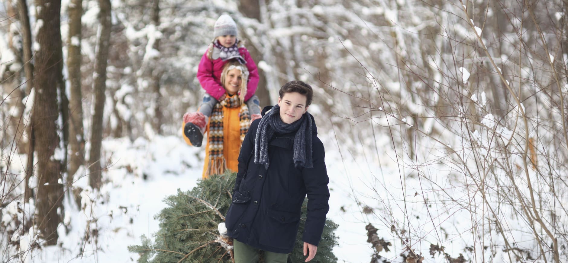 start actie kerstboom voor 1 euro natuurmonumenten