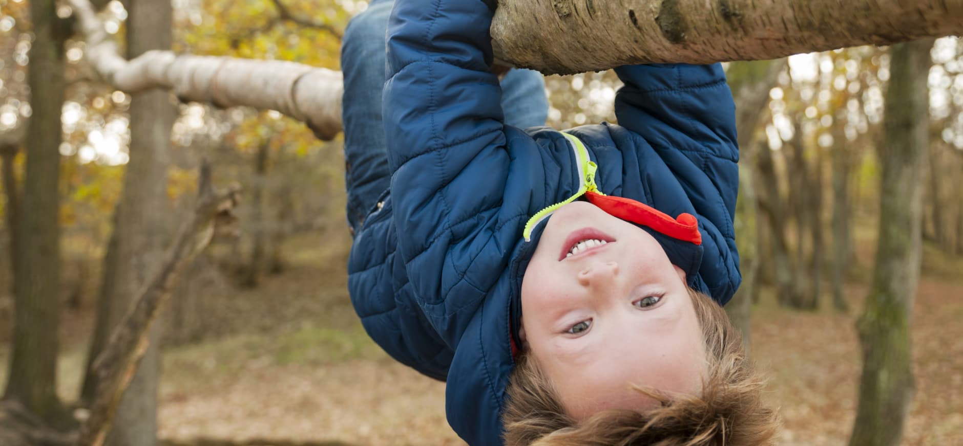 Herfstfeest in de Kaapse Bossen