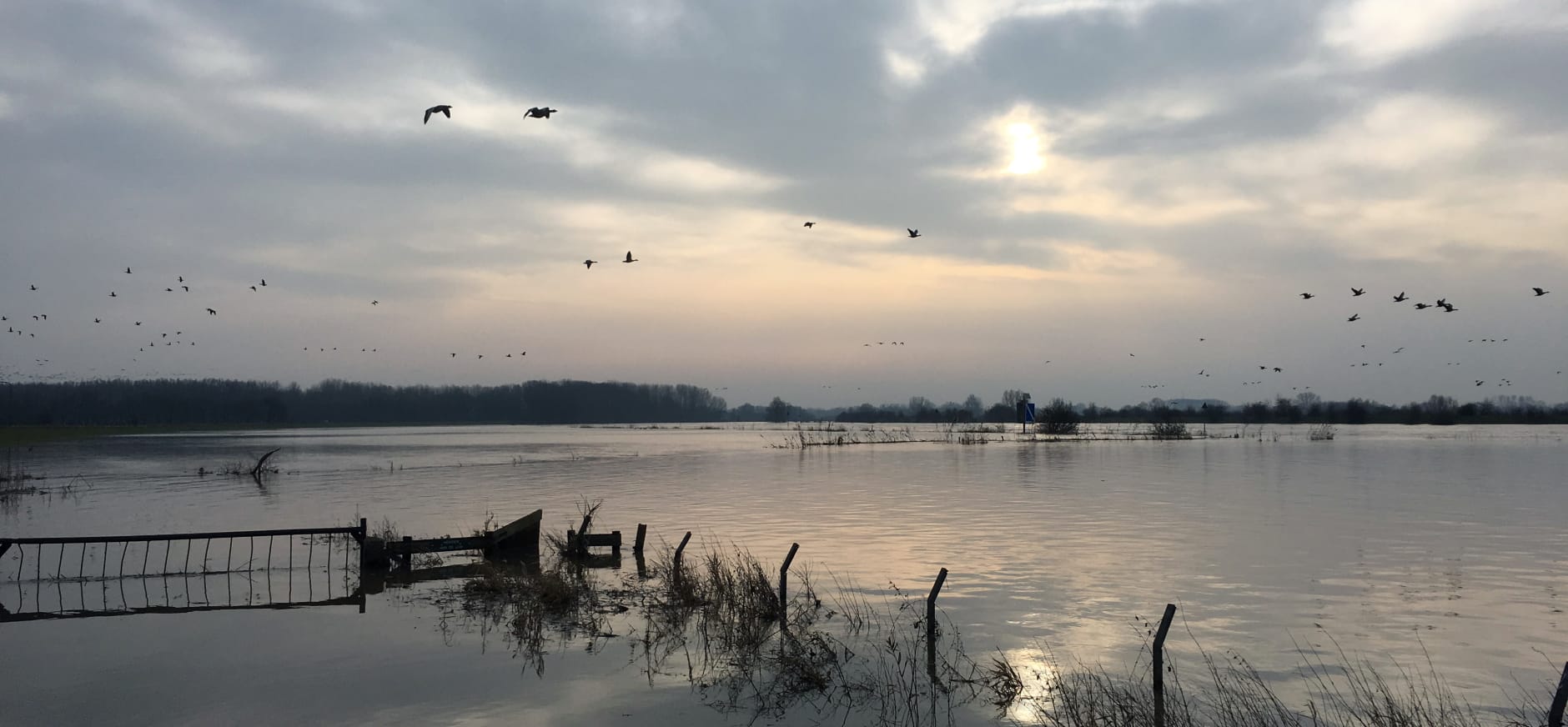 De Steeg hoogwater