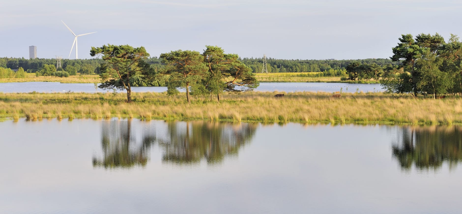 Waterrijke vogelparadijs Huis ter Heide