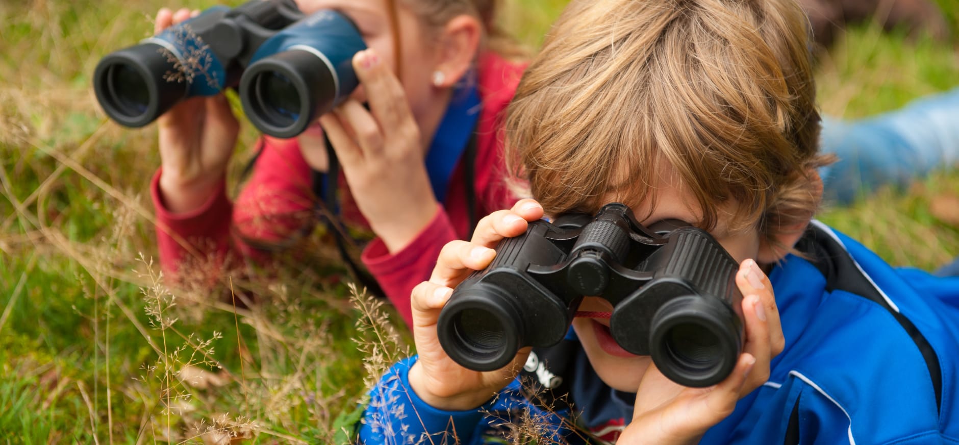 Oerrr speuren naar wild Veluwezoom - Zomer