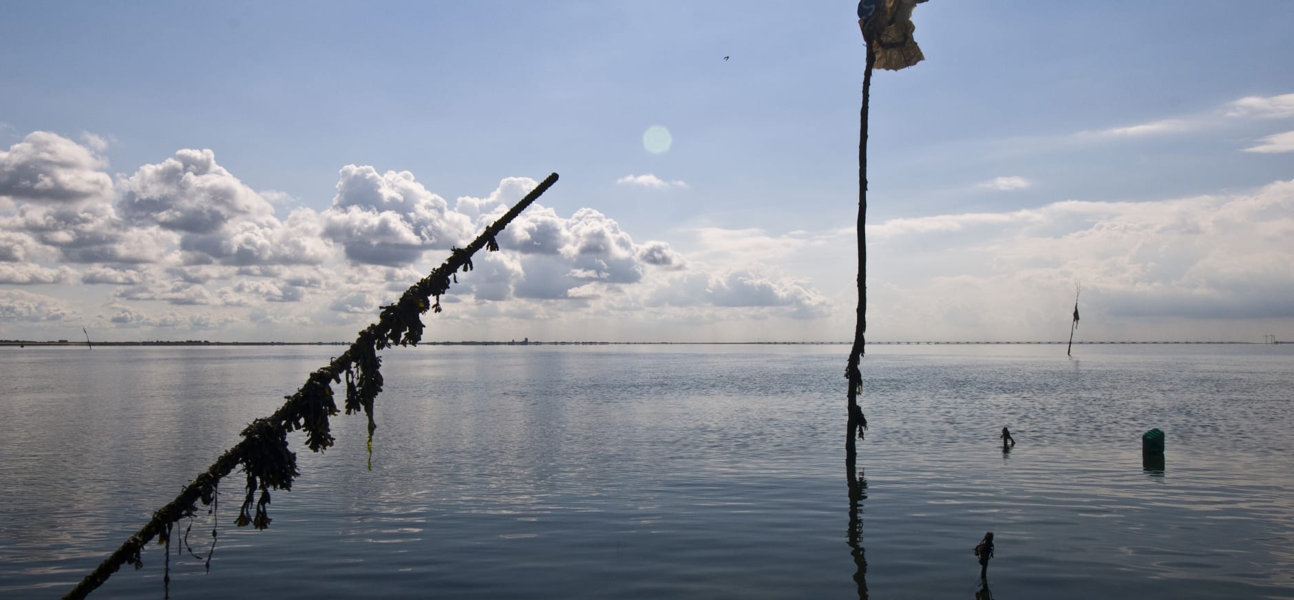 oosterschelde