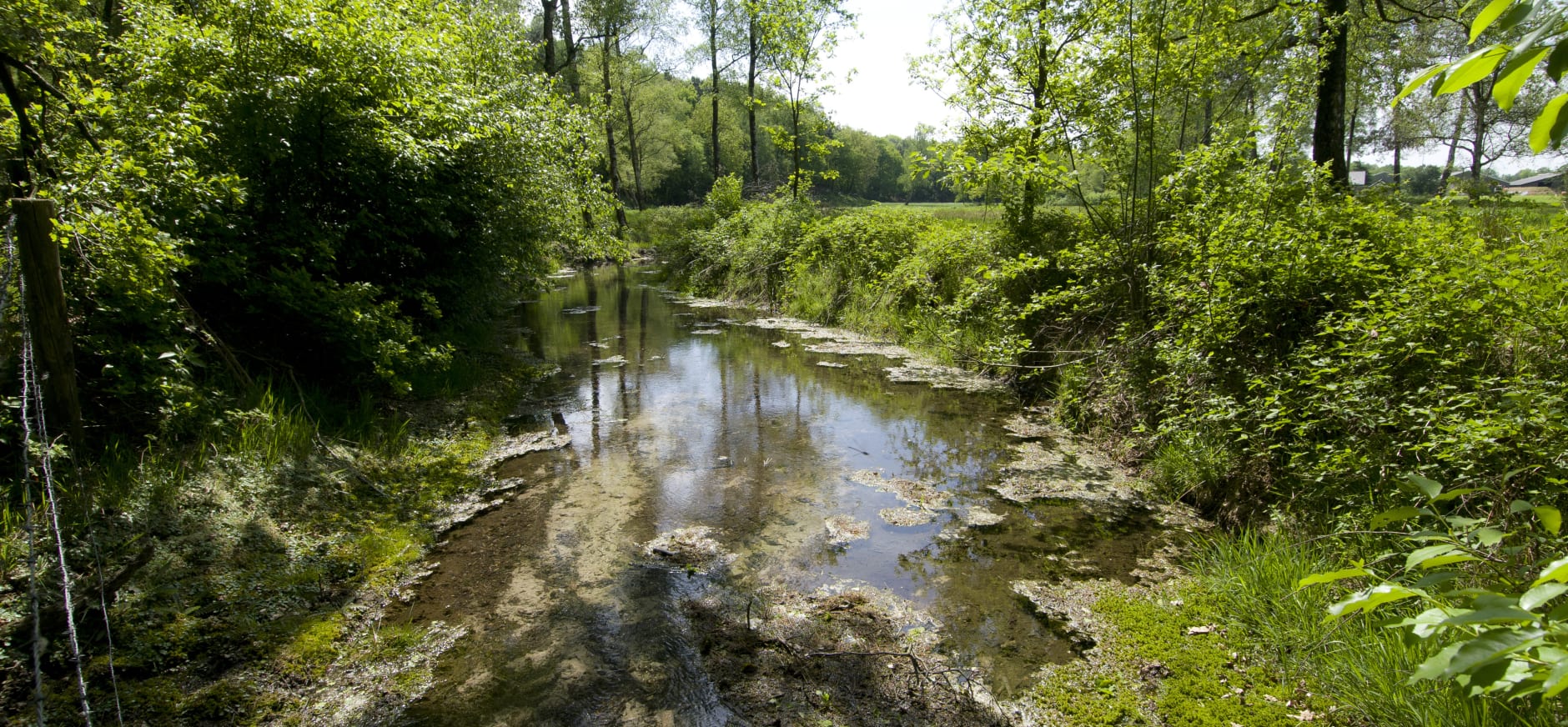 Vrijwilliger natuurbeheer zaterdag Wolfheze