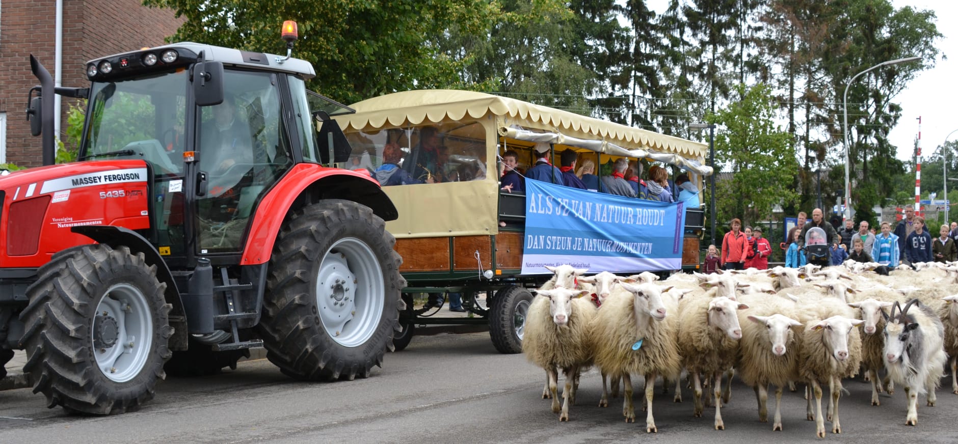 Huifkar met trekker en schapen op voorgrond